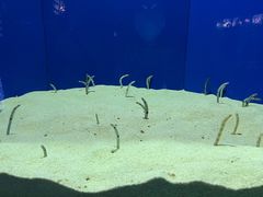 -上海海洋水族馆