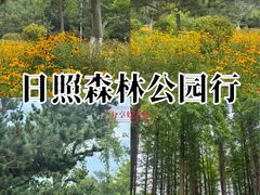 -日照海滨国家森林公园