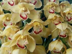 -南通洲际绿博园