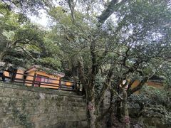 -普陀山慧济禅寺