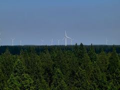 -黄海国家森林公园