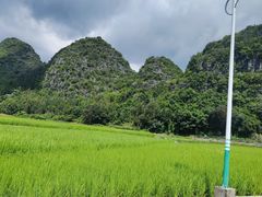 -万峰林风景区