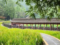 -龙头寺公园