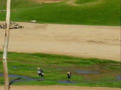-圣地亚哥动物园