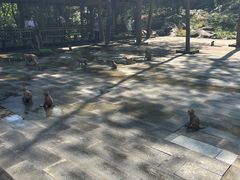 -千岛湖东南湖区