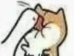 -九芝斋(解放路店)