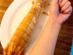 濑尿虾-凯华海鲜火锅·传承三十六年