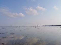 -南汇嘴观海公园