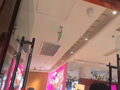 -老板恋上鱼(恒隆广场店)