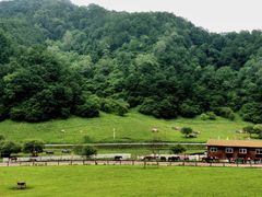 -大水川景区