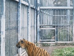 -广州动物园