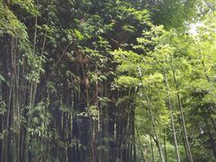 -翠云楼·汽锅鸡·云南特色菜(翠湖公园店)