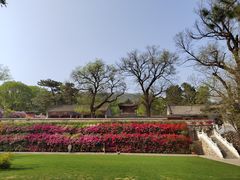 -红螺寺