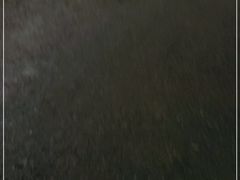 -南昌动物园