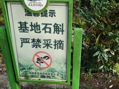 -莫里热带雨林景区