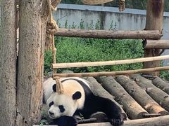 -黔灵山公园