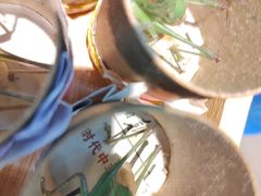 -中环花鸟鱼虫市场