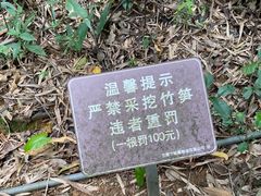 -水濂山森林公园