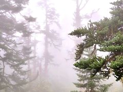 -海螺沟风景区