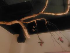 -可口香·非遗老号烧烤(南岗直营店)