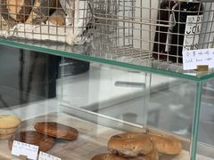-常识咖啡common sense(春熙路店)