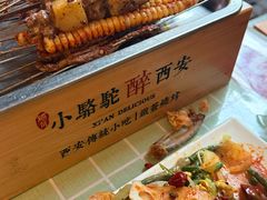 -福苗小骆驼烧烤(莲湖路店)