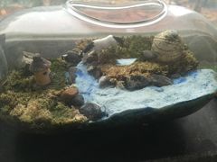 -A+匠心DIY手工坊·首饰·微景观