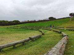 -西京湾花海