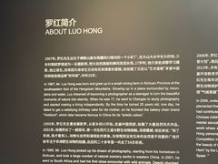 -罗红摄影艺术馆