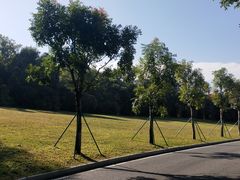 -东莞植物园