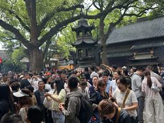 -普济禅寺-素斋堂