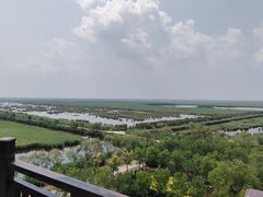 -南大港湿地风景区