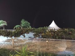 -渔家火锅·海鲜自助餐·演艺(亚龙湾天域酒店)