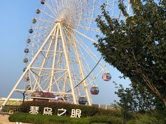 -琴岛之星摩天轮