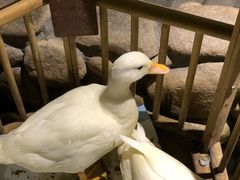 -馬蘭花開(车站大道店)