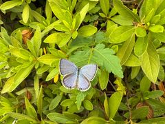 -大润发(花雨店)