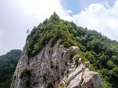 -沣峪口