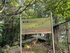 -阳台山森林公园