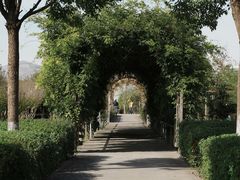 -九善农植有机生活农场