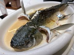 -陶缘一号·四季缘·老字号顺德菜·户外婚礼家宴(西滘店)
