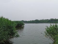 -西青郊野公园