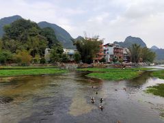 -靖西鹅泉风景区