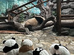 -乐和乐都主题乐园