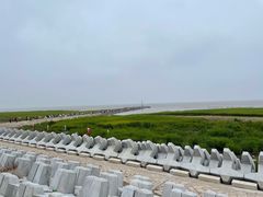 -南汇嘴观海公园