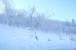 -大秃顶子山