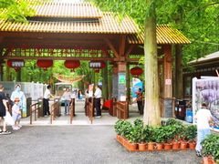 -东平国家森林公园