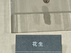-安徽省地质博物馆