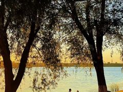 -丁香湖公园