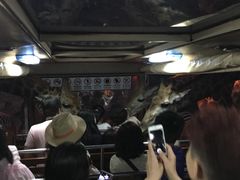 -清迈夜间动物园