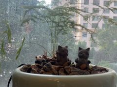 -甘肃国际会展中心